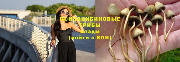Альфа ПВП Куйбышев