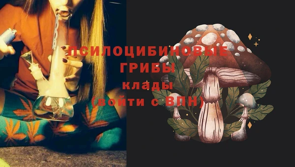 Альфа ПВП Куйбышев